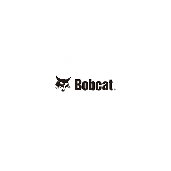 Bobcat