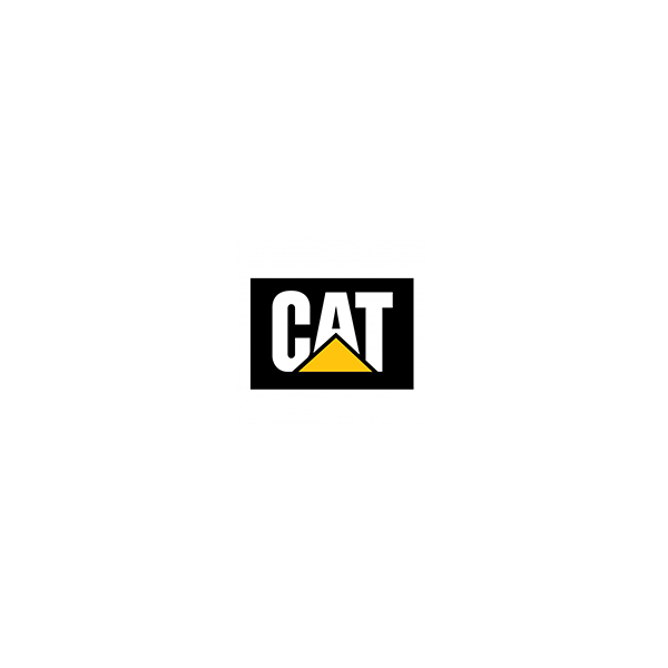 Caterpillar
