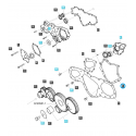 Cost of delivery: Steuergehäusedichtung / EGQ130 / Ls Traktor 40006825