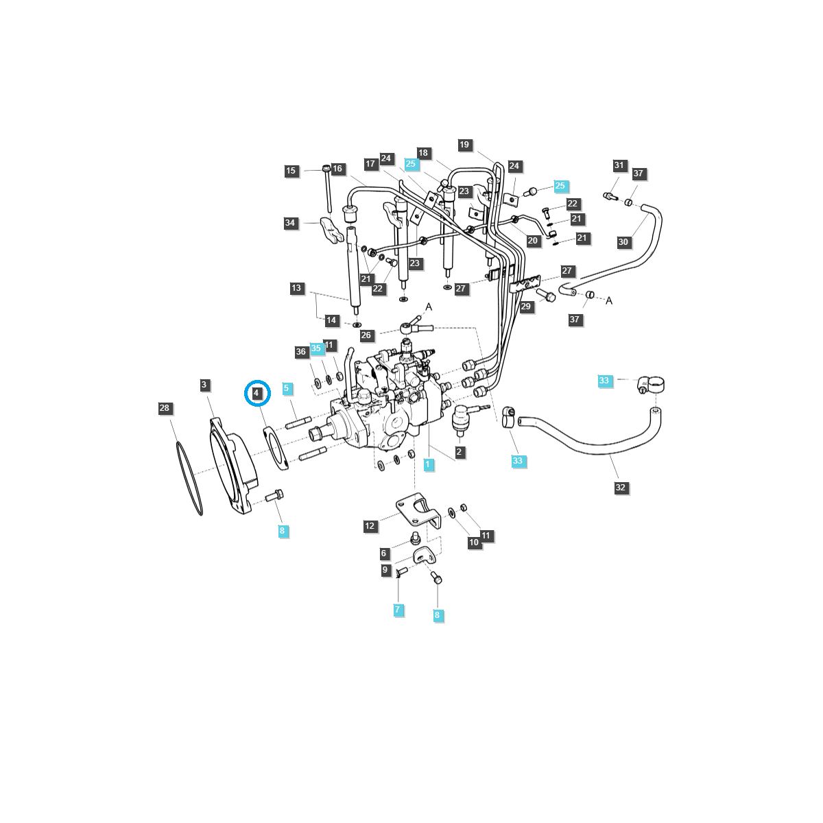Einspritzpumpendichtung / EGQ125 / LS Traktor / Nr. 40006910