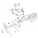 Cost of delivery: Cooling system hose / EGQ135 / LS Tractor / no. 40007374