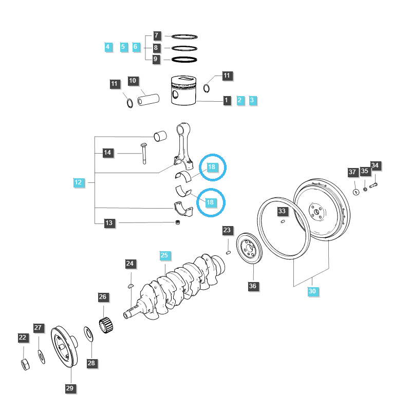 panewki  - Panewka korbowodu / LS U43 / LS U50 / LS U60 / EGQ120 / LS Tractor / 40232833 / 40050217