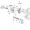 Cost of delivery: Anillo elástico Ø 45 / S810045001 / Ls Tractor 40029279