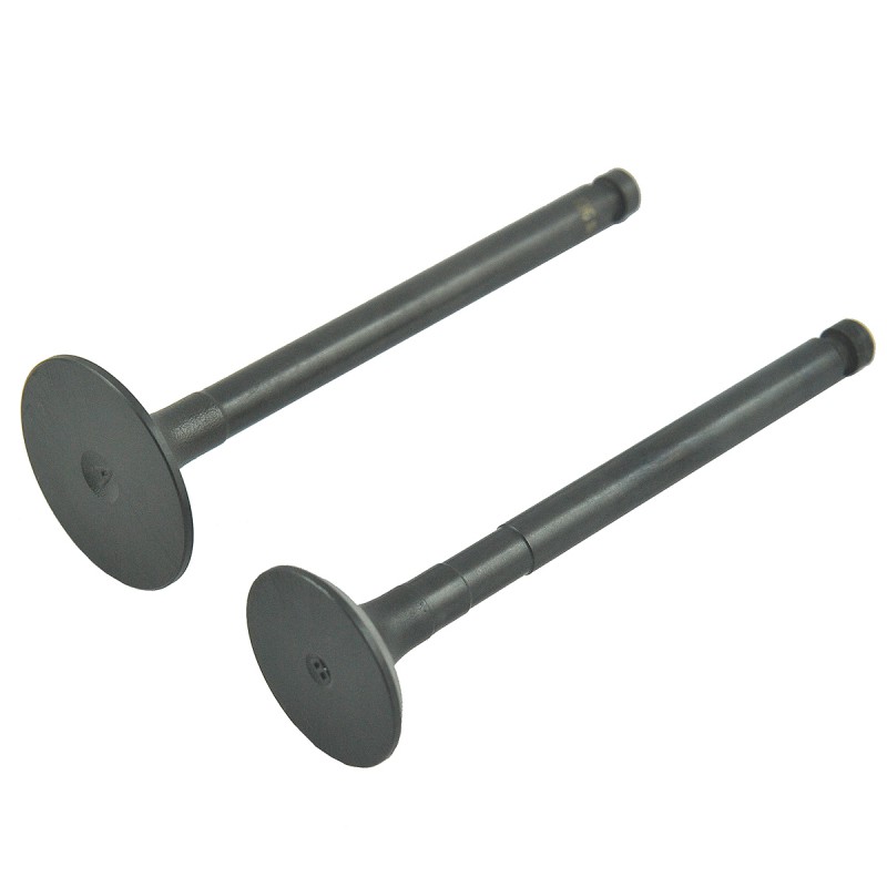 soupapes moteur - Soupapes de moteur / Yanmar 3TNV88 / Yanmar EF352T / EF453T