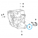 Cost of delivery: Bouchon de bouchon d'huile 1/4 / A0610168 / Ls Tracteur 40012845