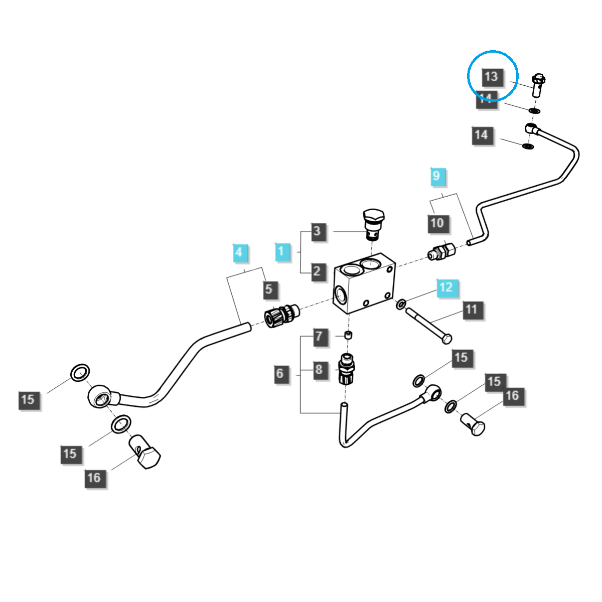 Śruba przelewowa / TRG650 / LS Tractor / nr 40221486
