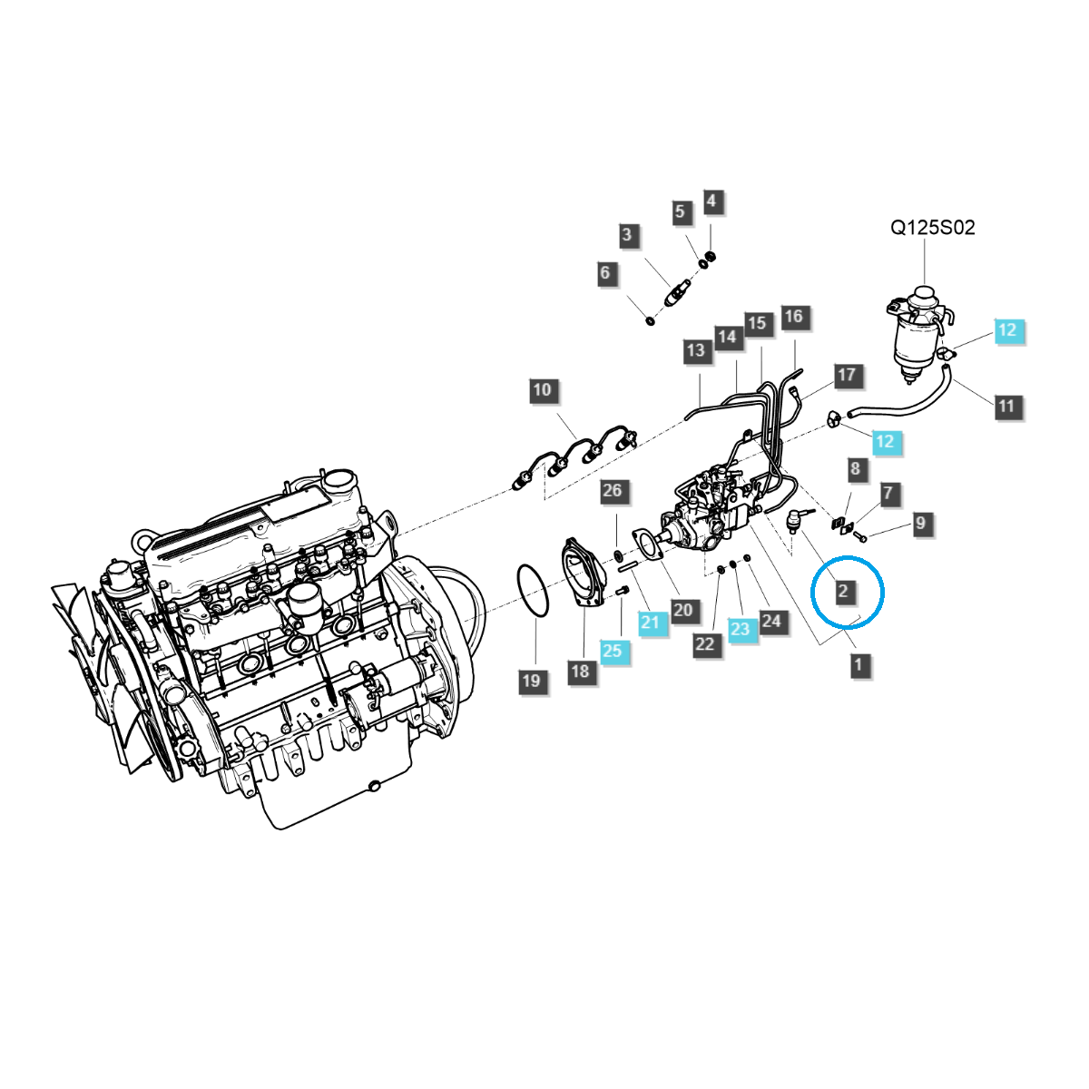 Cewka gaszenia / Q1250156 / LS Tractor / nr 40150541