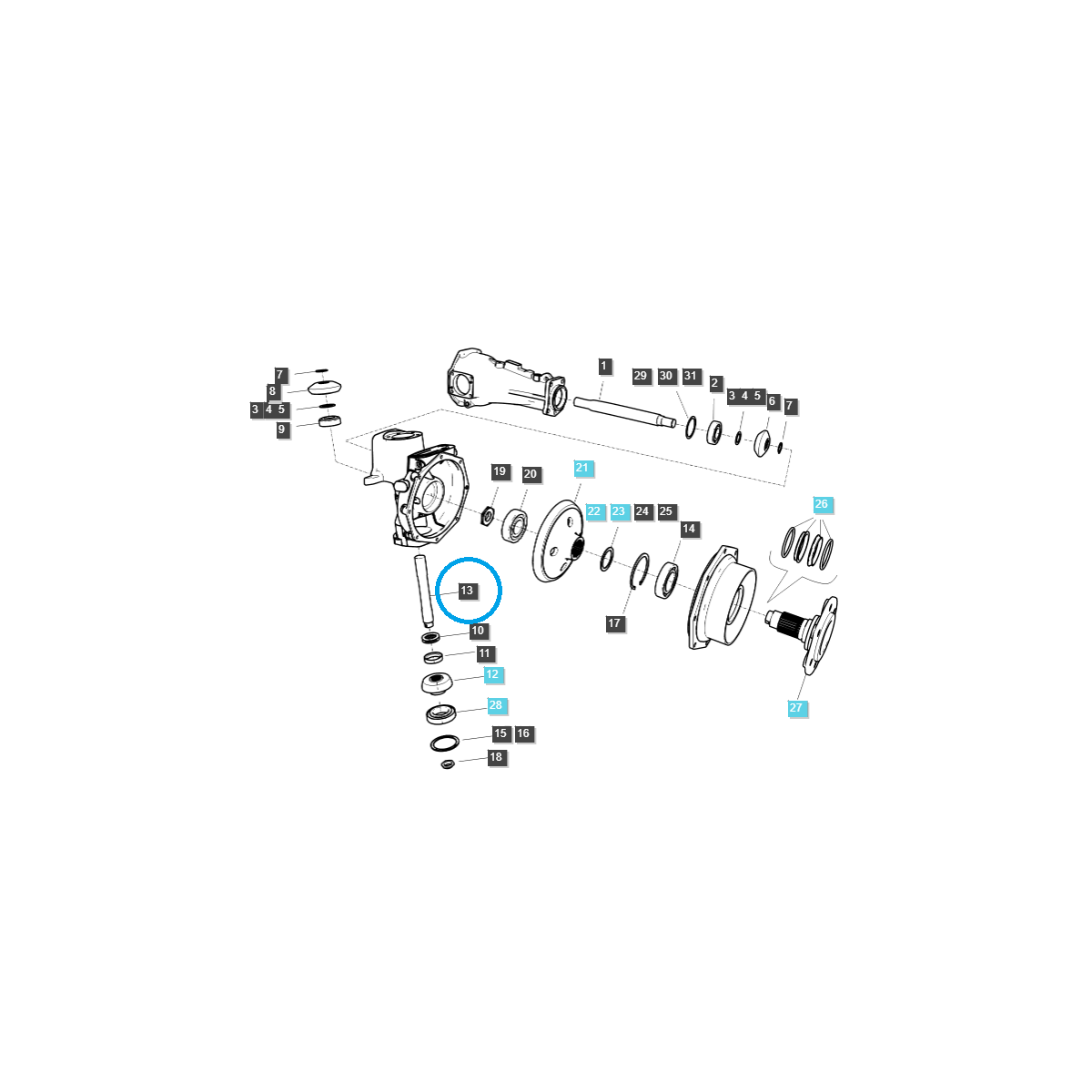 Wałek zwrotnicy mostu przedniego / TRG400 / LS Tractor 40009096