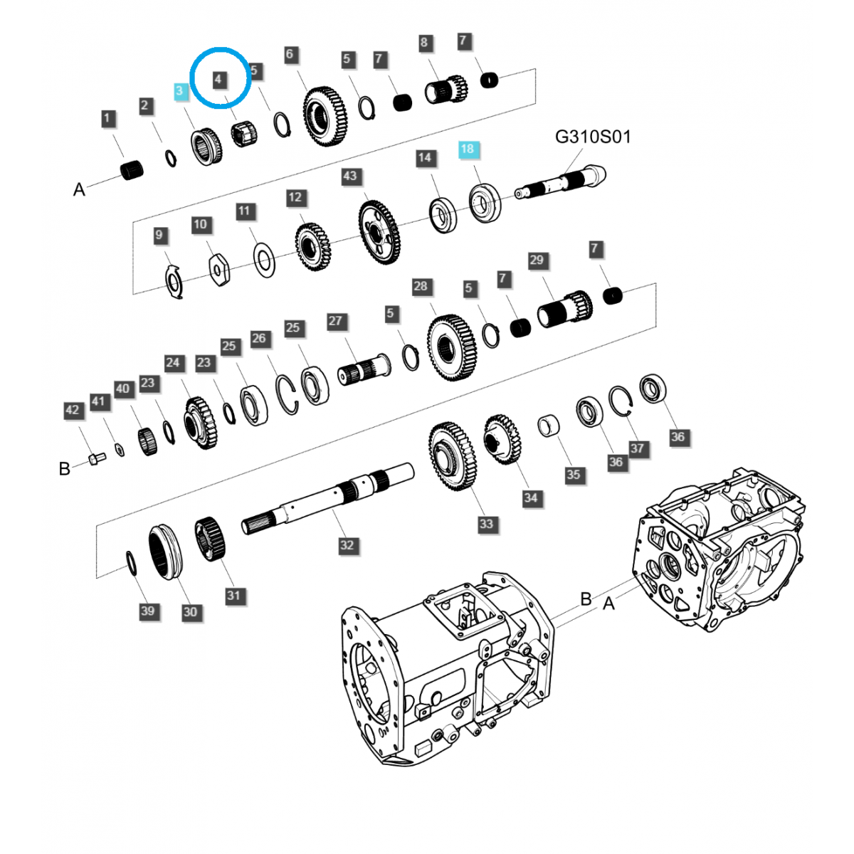 Ozubené koleso (2-4) / TRG285 / Ls Traktor 40009707