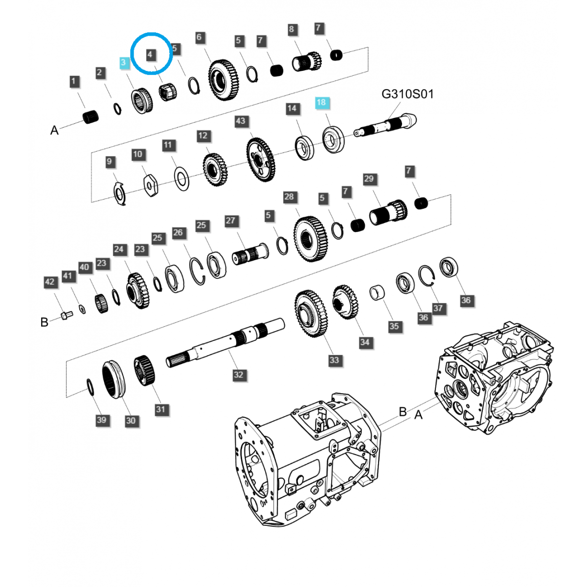 Řetězové kolo (2-4) / TRG285 / Ls Traktor 40009707