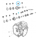 Cost of delivery: Gear (range) sprocket (DRV H_L) / TRG285 / Ls Tractor 40292204