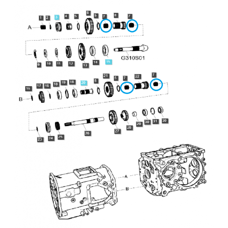 andere motor - Nadellager / TRG285 / LS Traktor / Nr. 40007818