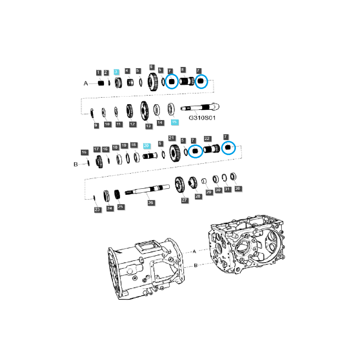 Łożysko igiełkowe TRG285 / LS Tractor / 40007818