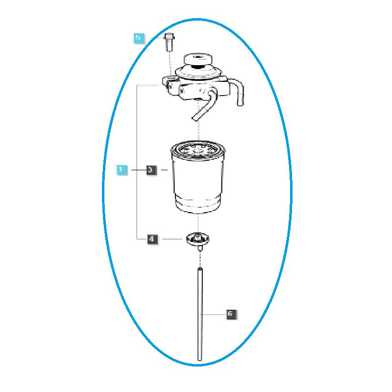 filtry paliwa - Główny filtr paliwa / EGQ125 / LS Tractor nr 40369209