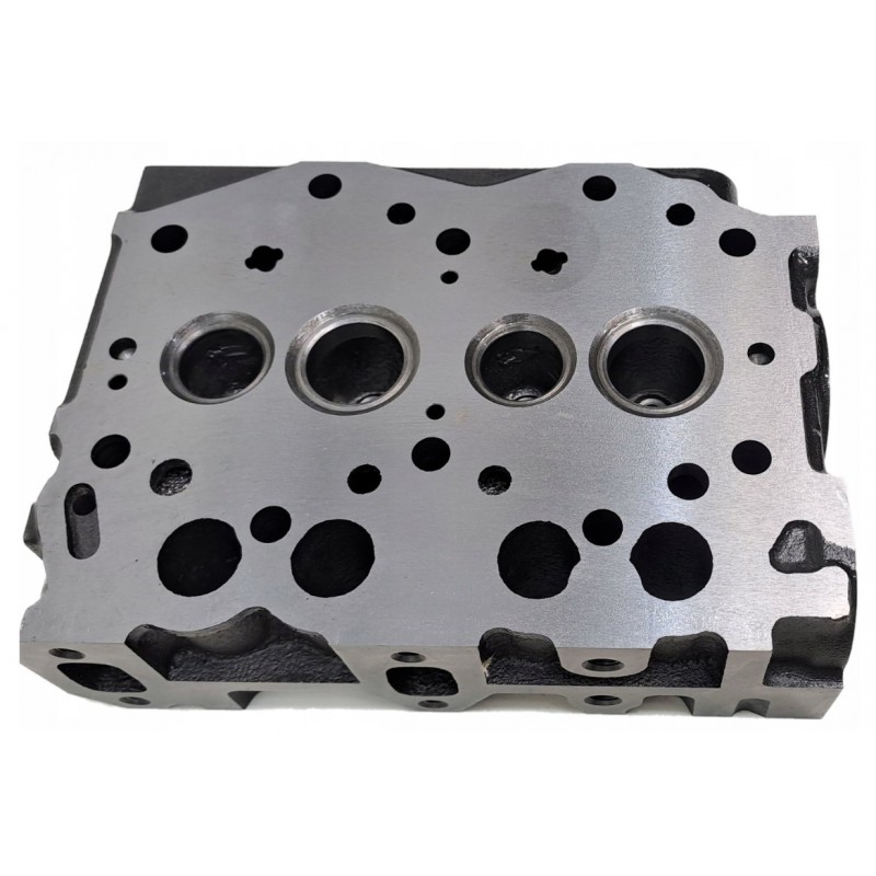 glowice - Głowica cylindrów / Yanmar 2TNE68