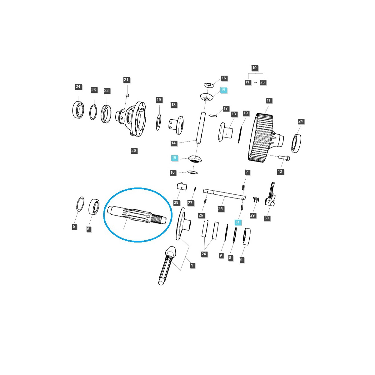 Antriebswelle - Differential 12T TRG310 / LS Traktor / 40301919