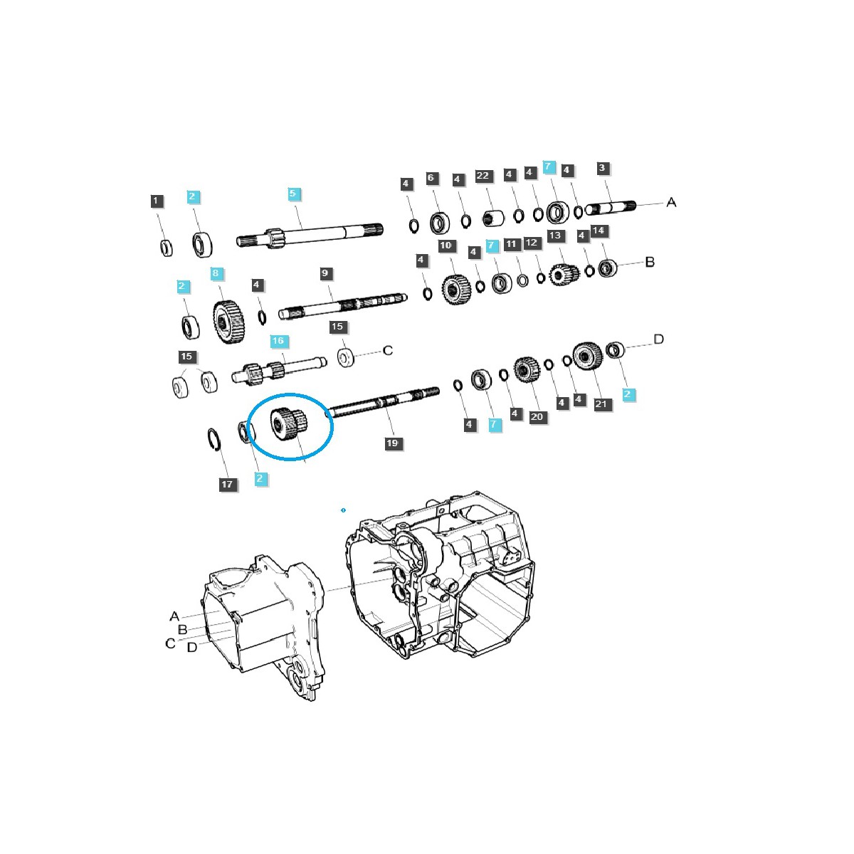 Gear wheel, gear rack / TRG281 / LS Tractor / 40292099