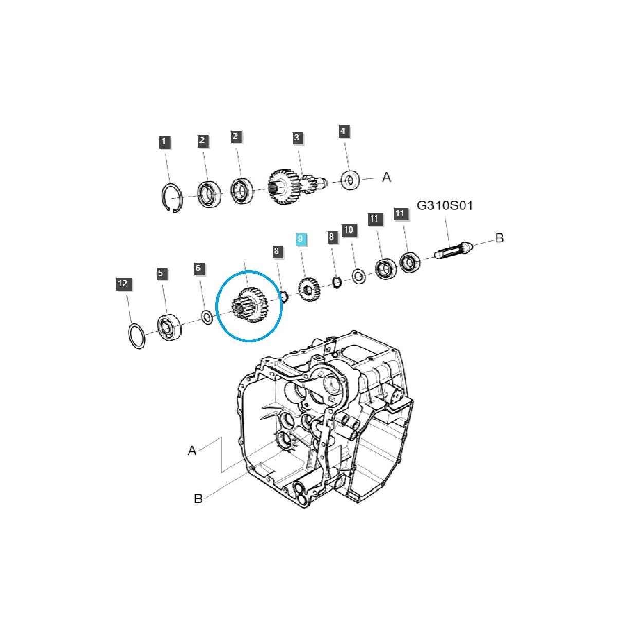 Gearbox sprocket DRVN (H_L) TRG285 / LS Tractor / 40292205