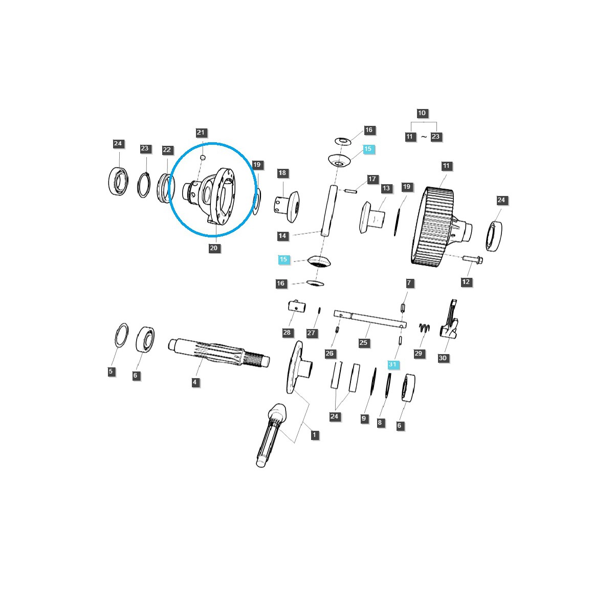 copy of Differential housing (differential) / TRG400 / LS Tractor 40009024