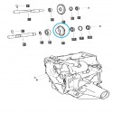 Cost of delivery: copy of Sprocket 26T, 30T helical gear of the gearbox shaft / TRG281 / LS Tractor 40031341