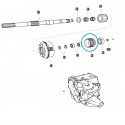 Cost of delivery: copy of Sprocket 26T, 30T helical gear of the gearbox shaft / TRG281 / LS Tractor 40031341