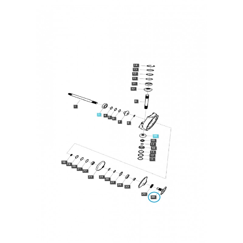 piasty  - Piasta przedniej osi TRG400 / LS Tractor / 40306912