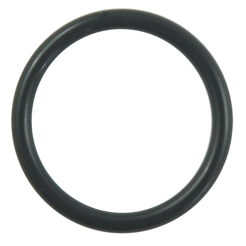 sealing - O-Ring / Ø24 x 2.25 mm / Kubota L2501 / L2502 / L4400 / L6060 / 04816-00220