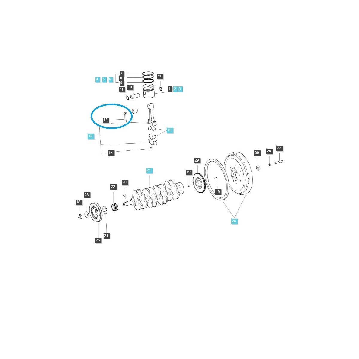 Boulon de bielle EGQ120 / Tracteur LS / 40253674