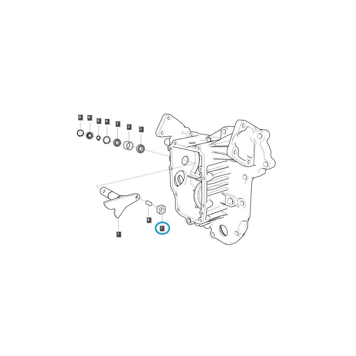 Piedra selectora para tractor HST/TRG270/LS 40341810