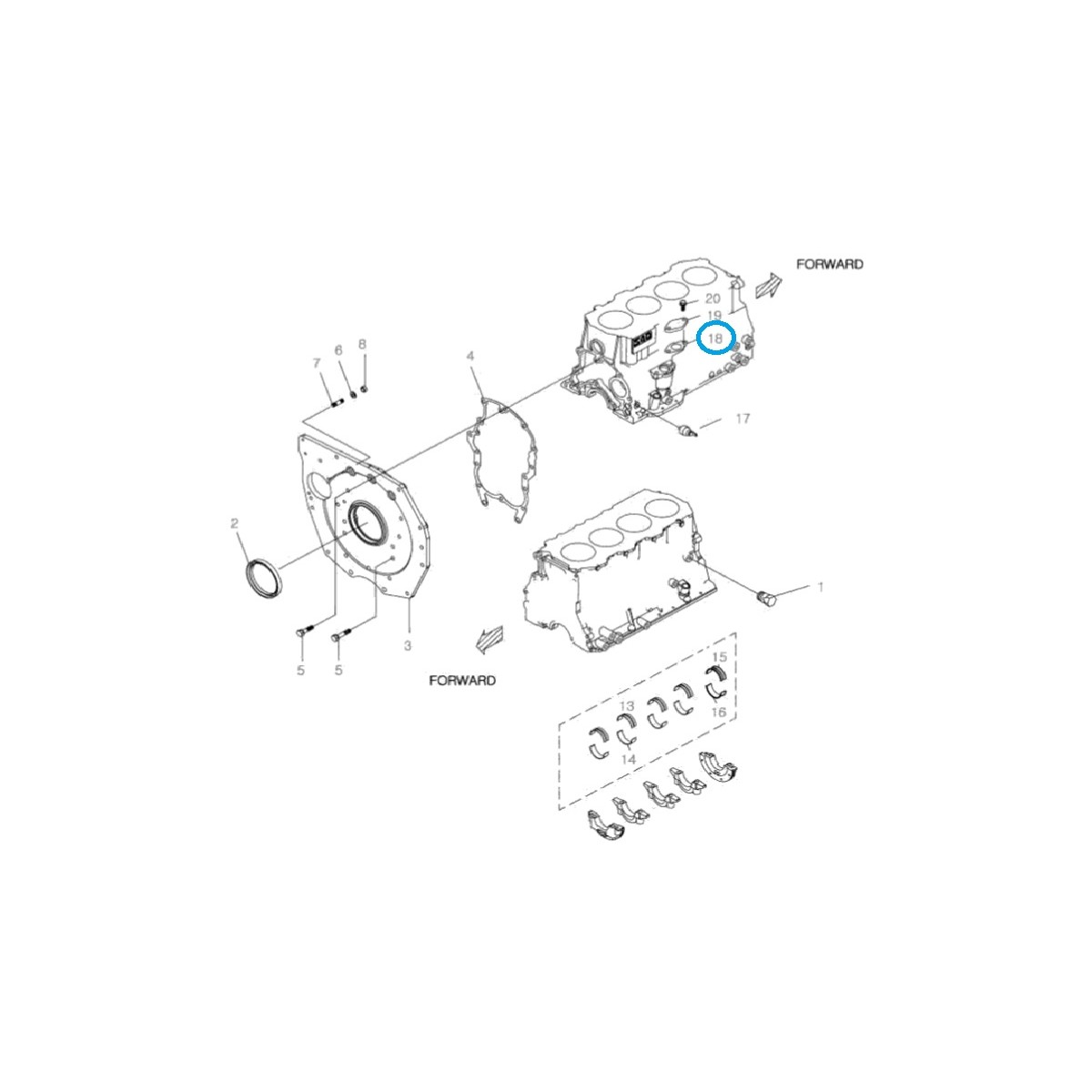 Joint Q1100043 / EGQ110 / Tracteur LS / 40006904