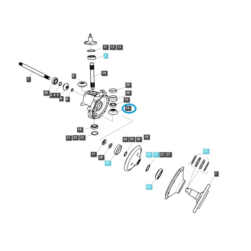 zebatki - Zahnrad, Kegelrad / TRG400 / LS Traktor 40036074