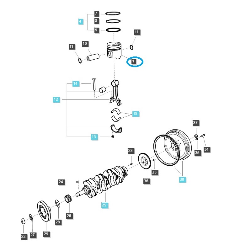 kolben - Motorkolben / S4QT / EGQ120 / LS Traktor / Nr. 40233509