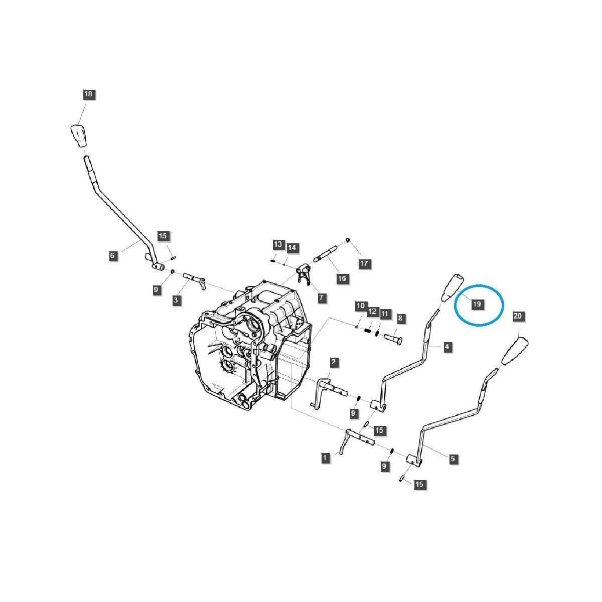 Bouton de régulateur de vitesse / TRG292 / Tracteur LS / 40426506 /40558986