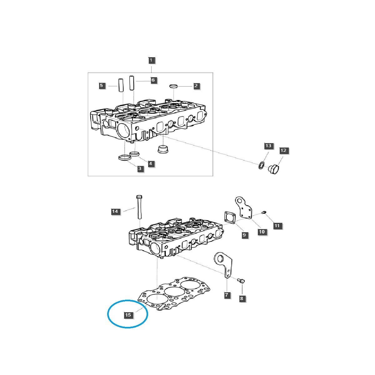 Junta de culata EGQ116 / Tractor LS / 40180631