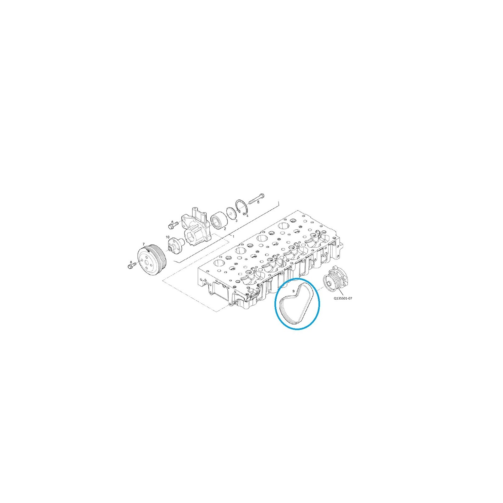 Keilriemen 5802952450-FPT / LS Traktor / 40508936