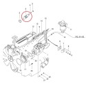 Injektor, Kraftstoffeinspritzung / LS Traktor / Nr. 40007930