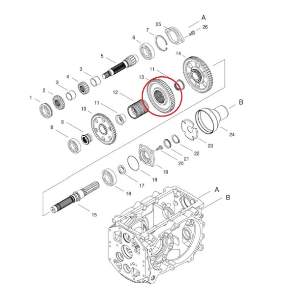 Koło zębate / nr 40009244 / LS Tractor