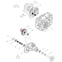 Nakrętka nr 40009546  / LS Tractor | Traktor.com.pl