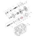 Uszczelniacz / LS MT3.35 / LS MT3.40 / LS MT3.50 / LS MT3.60 / A0653232 / nr 40012824