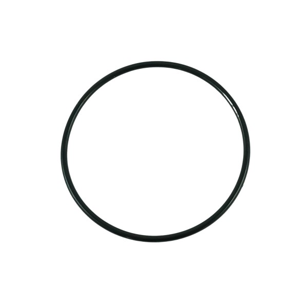 O-Ring / S802080010 / LS Traktor 40029229