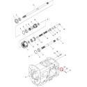 Junta tórica / LS MT3.35 / LS MT3.40 / LS MT3.50 / LS MT3.60 / S804007010 / n.º 40029237