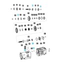 Junta tórica / LS MT3.35 / LS MT3.40 / LS MT3.50 / LS MT3.60 / S804007010 / n.º 40029237