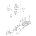 Junta termostato / Ø 49 mm / LS XJ25 / Mitsubishi S3L2 / 31A4611200 / 40122883