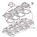 Motordeckeldichtung / LS PLUS 70 / LS PLUS 80 / LS PLUS 90 / 504173590 / Nr. 40199023