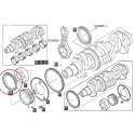 Kurbelwellendichtring / LS PLUS 70 / LS PLUS 80 / LS PLUS 90 / 504187305 / Nr. 40199028