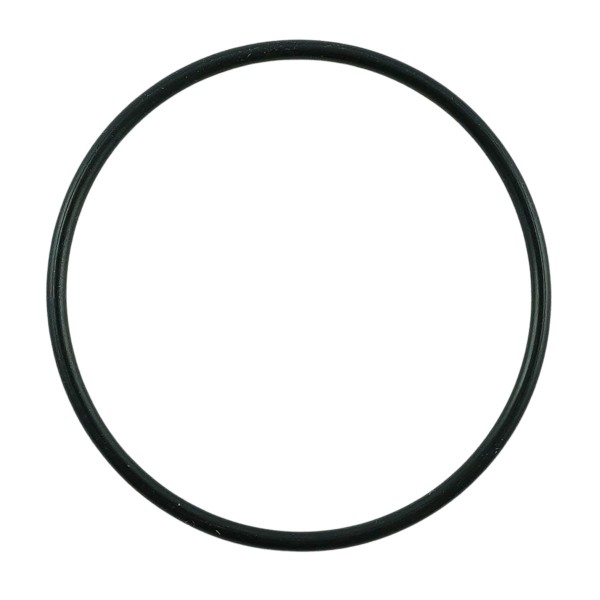 Kraftstofffilter-O-Ring / LS-Traktor / Nr. 40223871