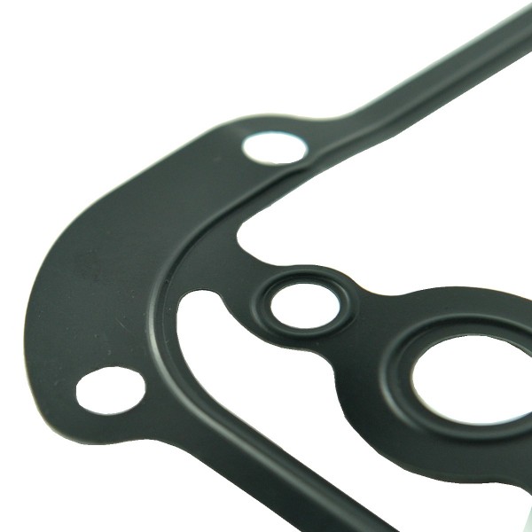 Olejové tesnenie / LS P7010 / LS P7030 / 504155544 / č. 40224500