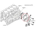 Olejové těsnění / LS P7010 / LS P7030 / 504155544 / č. 40224500