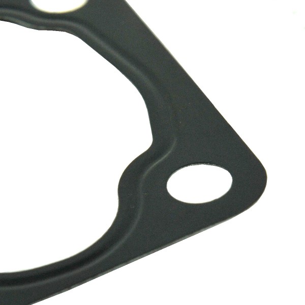 Junta de carcasa de termostato / LS PLUS70 / LS PLUS80 / LS PLUS90 / 504164205 / 40224504