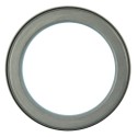 Kurbelwellendichtring / LS PLUS 70 / LS PLUS 80 / LS PLUS 90 / 504180969 / 504014232 / 40199025 / Nr. 40235981